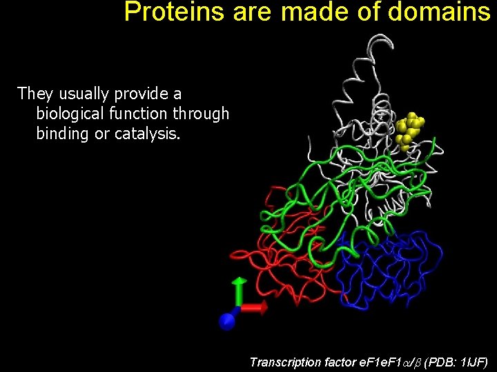 Proteins are made of domains They usually provide a biological function through binding or