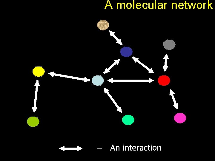 A molecular network = An interaction 