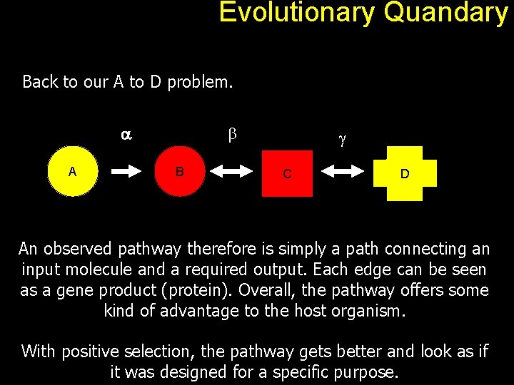 Evolutionary Quandary Back to our A to D problem. a A b B g