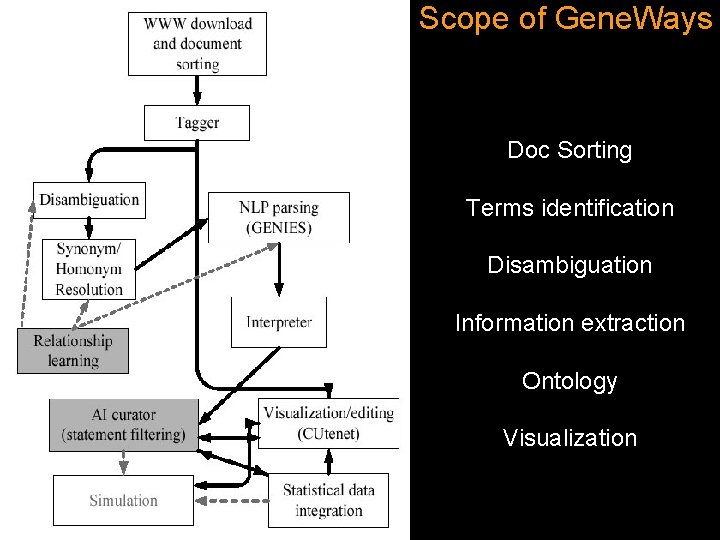 Scope of Gene. Ways Doc Sorting Terms identification Disambiguation Information extraction Ontology Visualization 