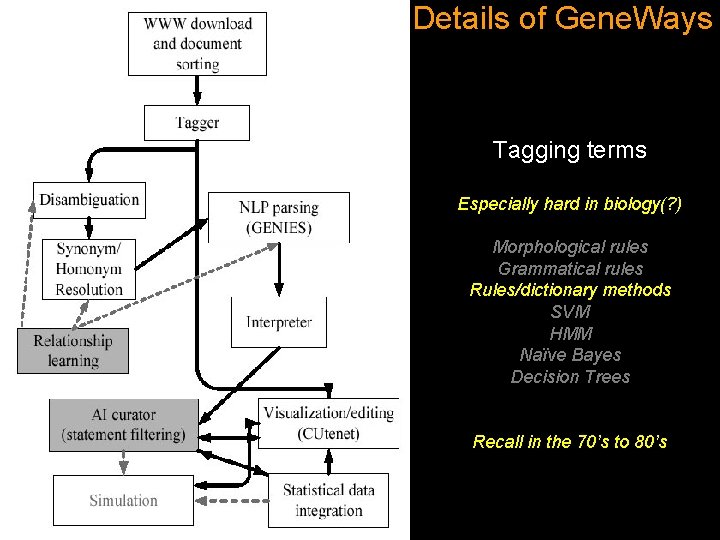 Details of Gene. Ways Tagging terms Especially hard in biology(? ) Morphological rules Grammatical