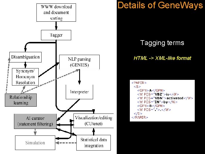 Details of Gene. Ways Tagging terms HTML -> XML-like format 