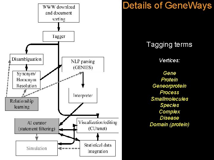 Details of Gene. Ways Tagging terms Vertices: Gene Protein Geneorprotein Process Smallmolecules Species Complex