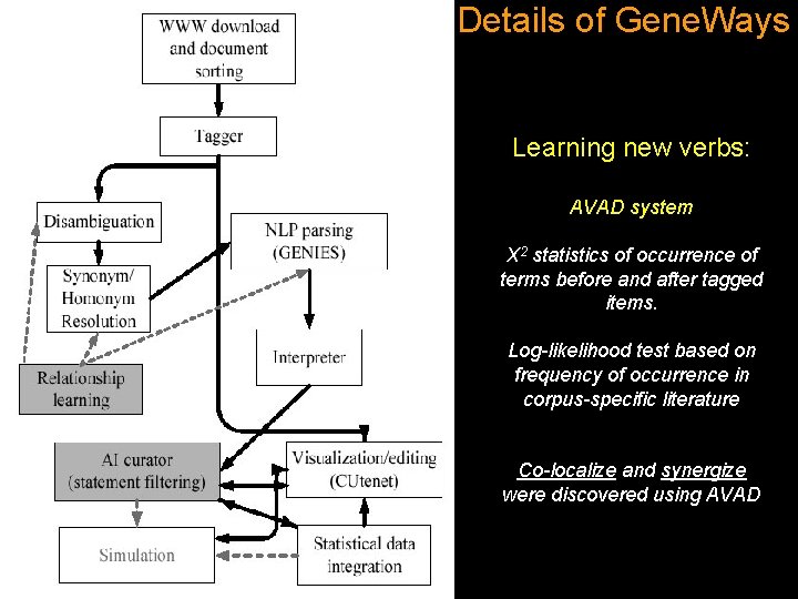 Details of Gene. Ways Learning new verbs: AVAD system Χ 2 statistics of occurrence