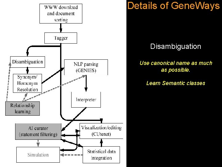 Details of Gene. Ways Disambiguation Use canonical name as much as possible. Learn Semantic