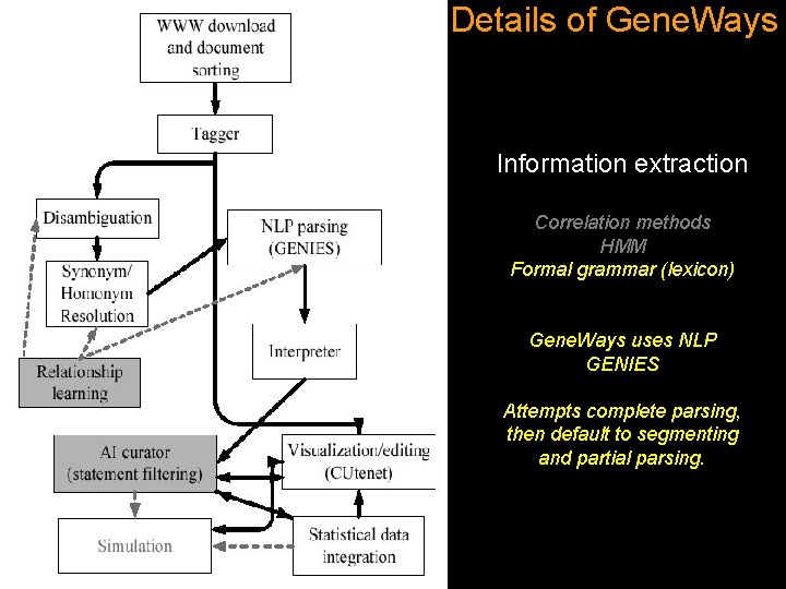 Details of Gene. Ways Information extraction Correlation methods HMM Formal grammar (lexicon) Gene. Ways