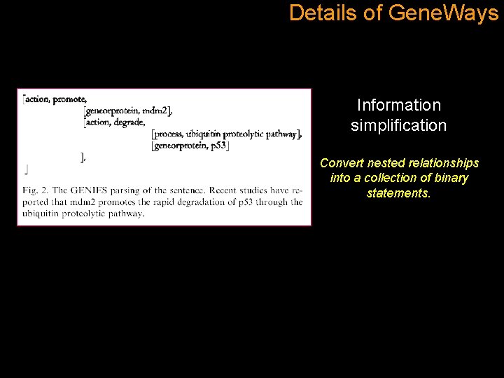 Details of Gene. Ways Information simplification Convert nested relationships into a collection of binary