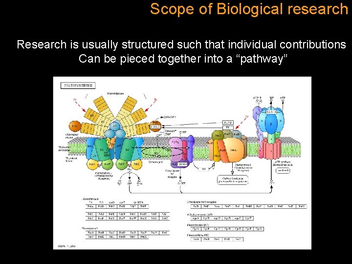 Scope of Biological research Research is usually structured such that individual contributions Can be