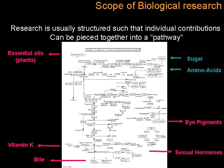 Scope of Biological research Research is usually structured such that individual contributions Can be