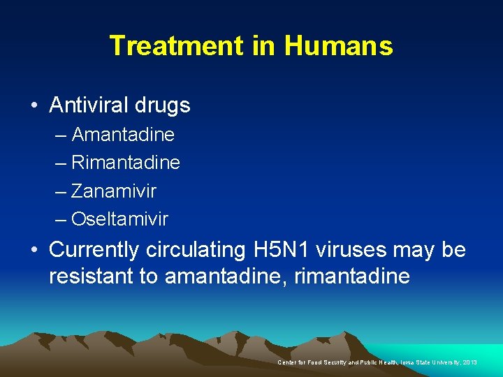 Treatment in Humans • Antiviral drugs – Amantadine – Rimantadine – Zanamivir – Oseltamivir