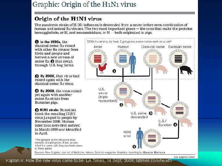 Kaplan K. How the new virus came to be. LA Times, 14 Sept, 2009;