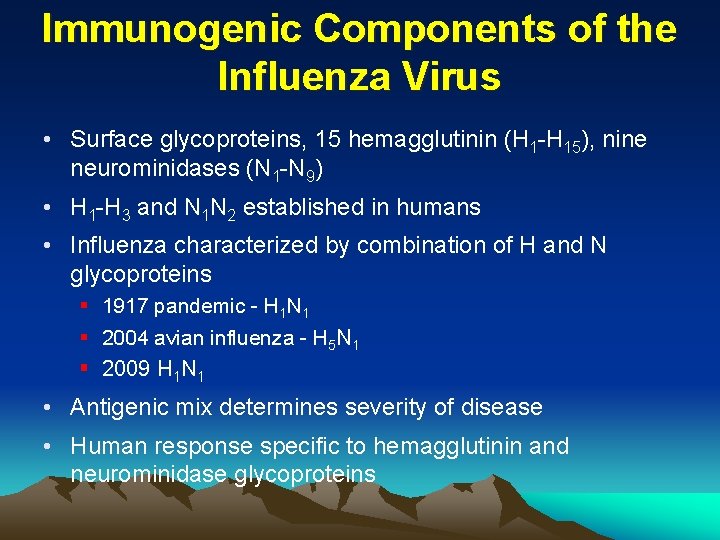 Immunogenic Components of the Influenza Virus • Surface glycoproteins, 15 hemagglutinin (H 1 -H