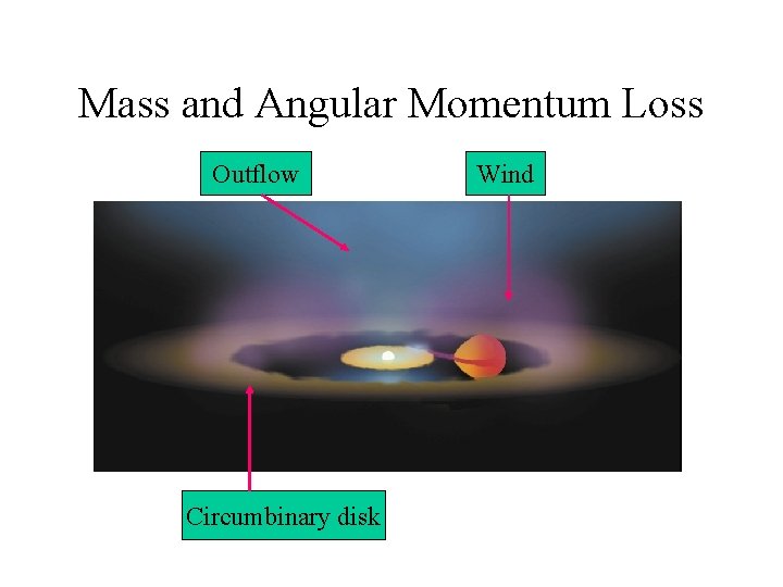 Mass and Angular Momentum Loss Outflow Circumbinary disk Wind 