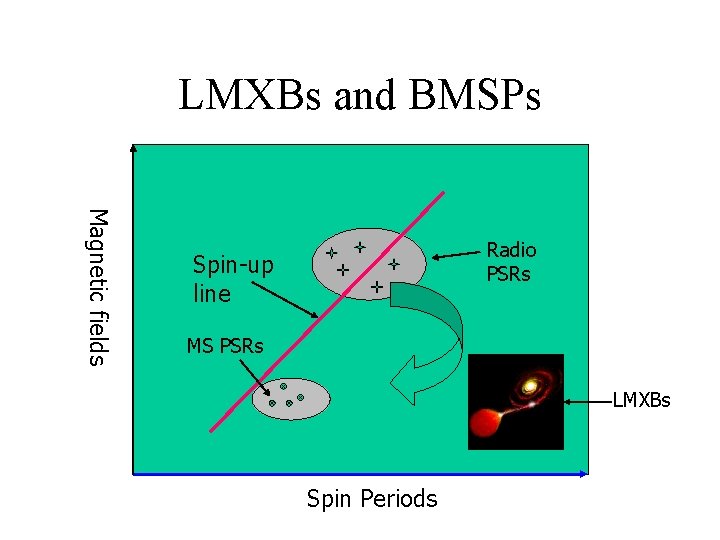 LMXBs and BMSPs Magnetic fields Radio PSRs Spin-up line MS PSRs LMXBs Spin Periods