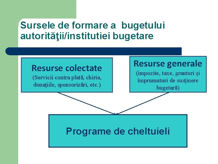 Sursele de formare a bugetului autorităţii/institutiei bugetare Resurse colectate (Servicii contra plată, chiria, donaţiile,