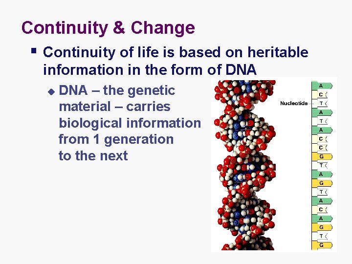 Continuity & Change § Continuity of life is based on heritable information in the