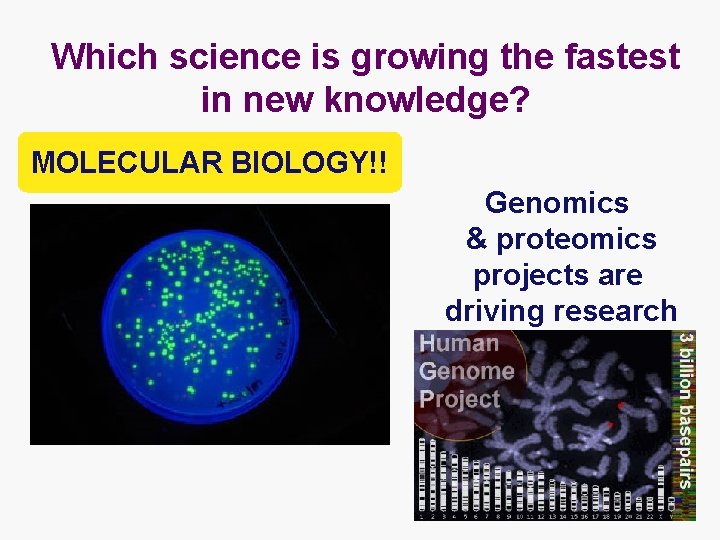 Which science is growing the fastest in new knowledge? MOLECULAR BIOLOGY!! Genomics & proteomics