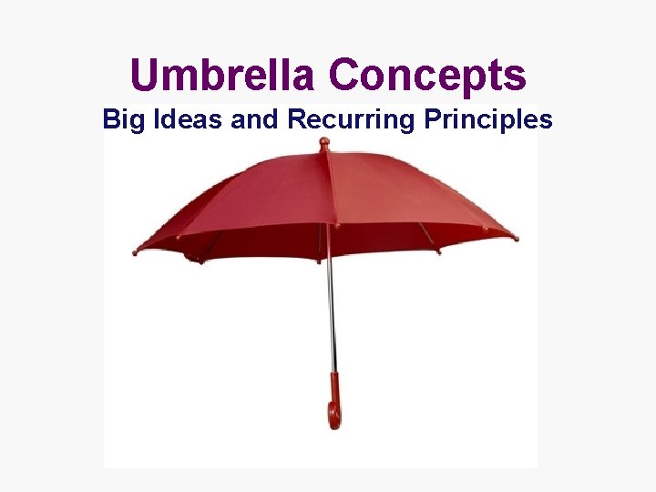 Umbrella Concepts Big Ideas and Recurring Principles 