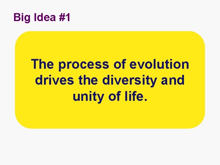 Big Idea #1 The process of evolution drives the diversity and unity of life.