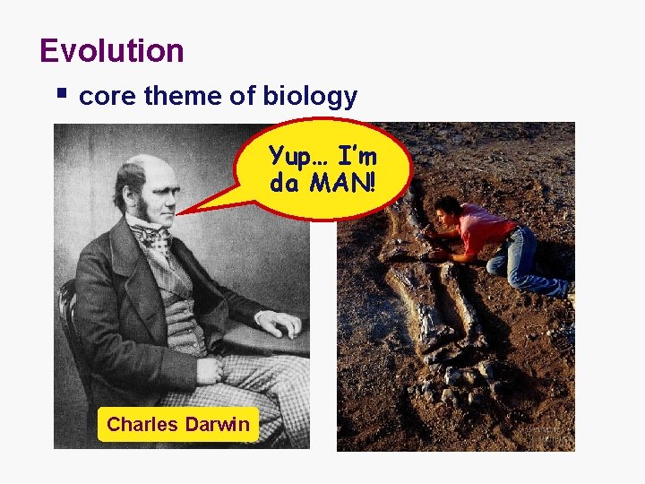 Evolution § core theme of biology Yup… I’m da MAN! Charles Darwin 