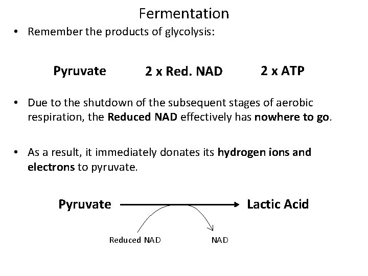 Fermentation • Remember the products of glycolysis: Pyruvate 2 x Red. NAD 2 x