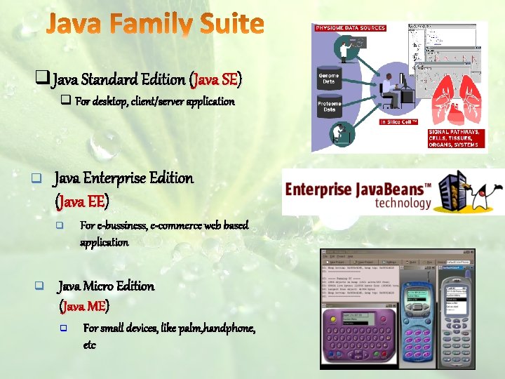 q Java Standard Edition (Java SE) q For desktop, client/server application q Java Enterprise