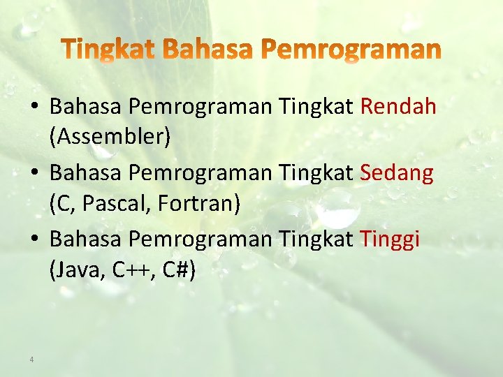  • Bahasa Pemrograman Tingkat Rendah (Assembler) • Bahasa Pemrograman Tingkat Sedang (C, Pascal,