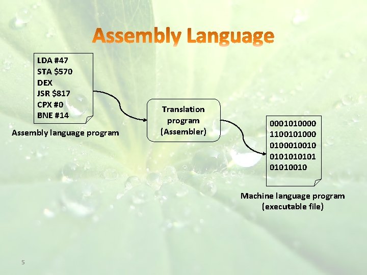 LDA #47 STA $570 DEX JSR $817 CPX #0 BNE #14 Assembly language program