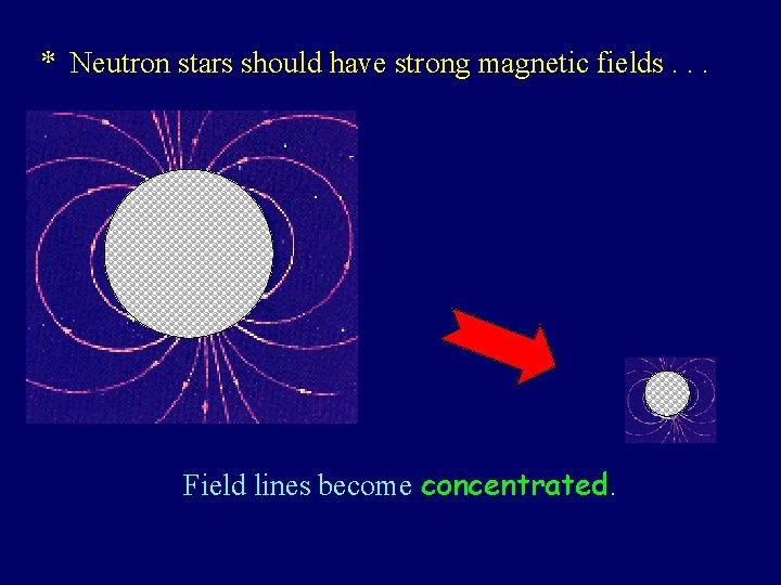 * Neutron stars should have strong magnetic fields. . . Field lines become concentrated.