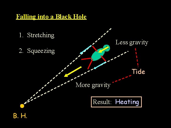 Falling into a Black Hole 1. Stretching Less gravity 2. Squeezing Tide More gravity