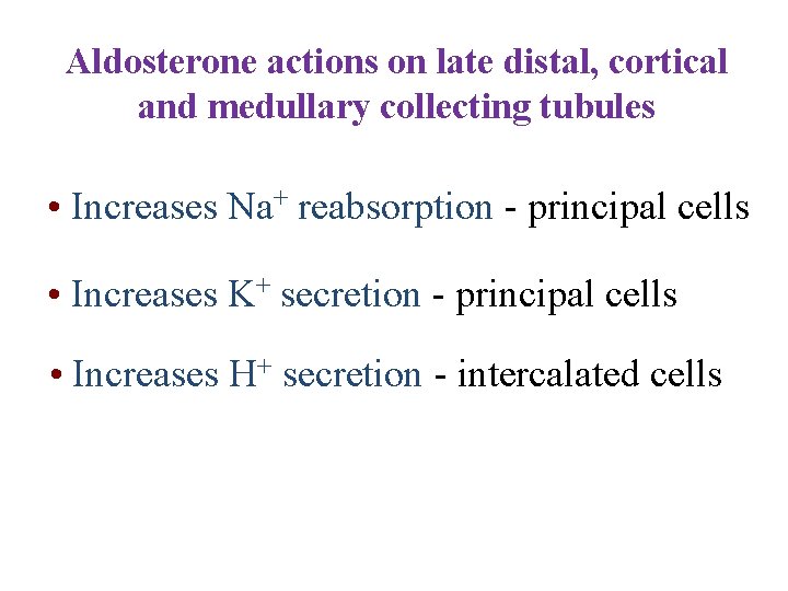 Aldosterone actions on late distal, cortical and medullary collecting tubules • Increases Na+ reabsorption