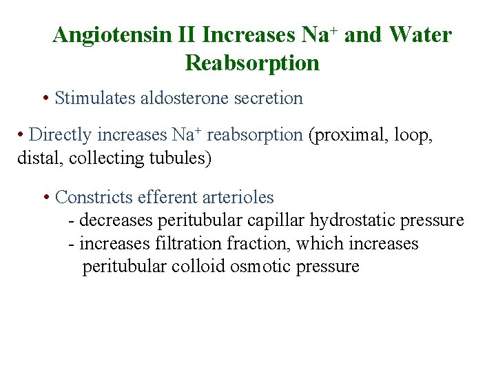 Angiotensin II Increases Na+ and Water Reabsorption • Stimulates aldosterone secretion • Directly increases