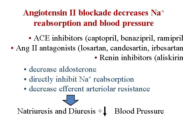 Angiotensin II blockade decreases Na+ reabsorption and blood pressure • ACE inhibitors (captopril, benazipril,
