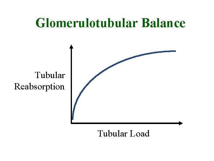 Glomerulotubular Balance Tubular Reabsorption Tubular Load 