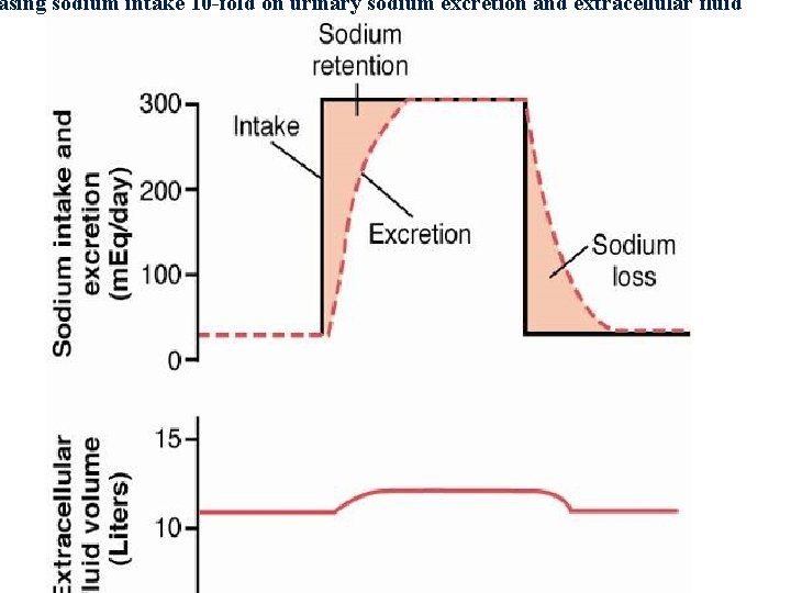 asing sodium intake 10 -fold on urinary sodium excretion and extracellular fluid 