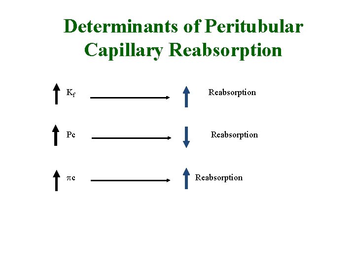 Determinants of Peritubular Capillary Reabsorption Kf Reabsorption Pc Reabsorption 