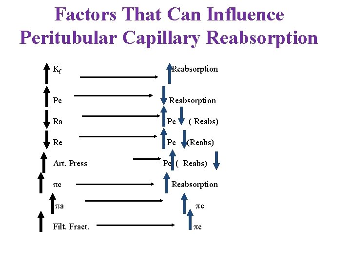 Factors That Can Influence Peritubular Capillary Reabsorption Kf Reabsorption Pc Reabsorption Ra Pc (
