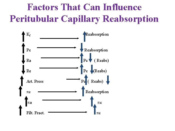 Factors That Can Influence Peritubular Capillary Reabsorption Kf Reabsorption Pc Reabsorption Ra Pc (