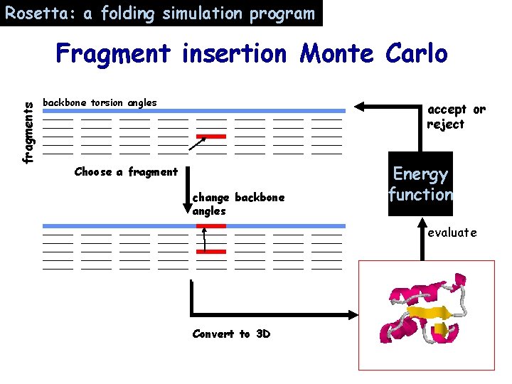 Rosetta: a folding simulation program fragments Fragment insertion Monte Carlo backbone torsion angles accept