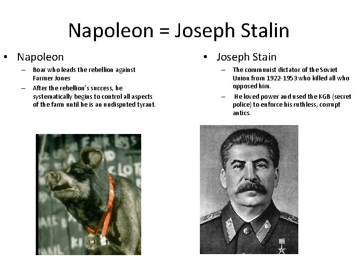 Napoleon = Joseph Stalin • Napoleon – Boar who leads the rebellion against Farmer