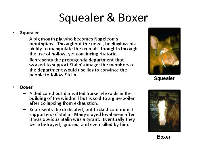 Squealer & Boxer • • Squealer – A big mouth pig who becomes Napoleon’s
