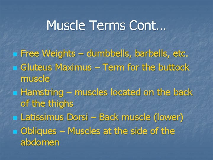 Muscle Terms Cont… n n n Free Weights – dumbbells, barbells, etc. Gluteus Maximus