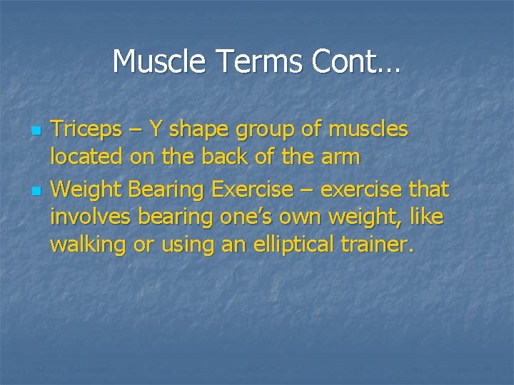 Muscle Terms Cont… n n Triceps – Y shape group of muscles located on