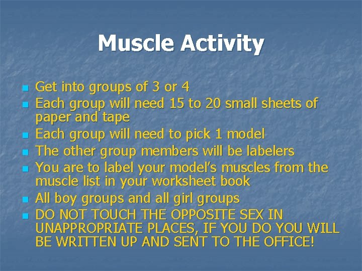 Muscle Activity n n n n Get into groups of 3 or 4 Each