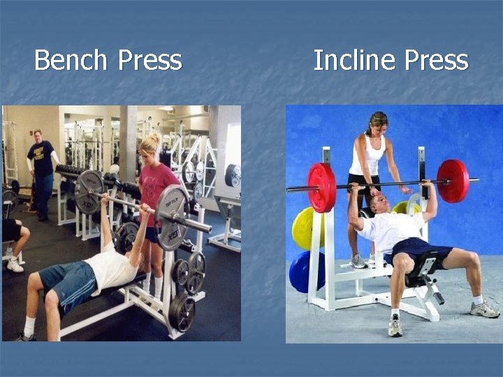 Bench Press Incline Press 