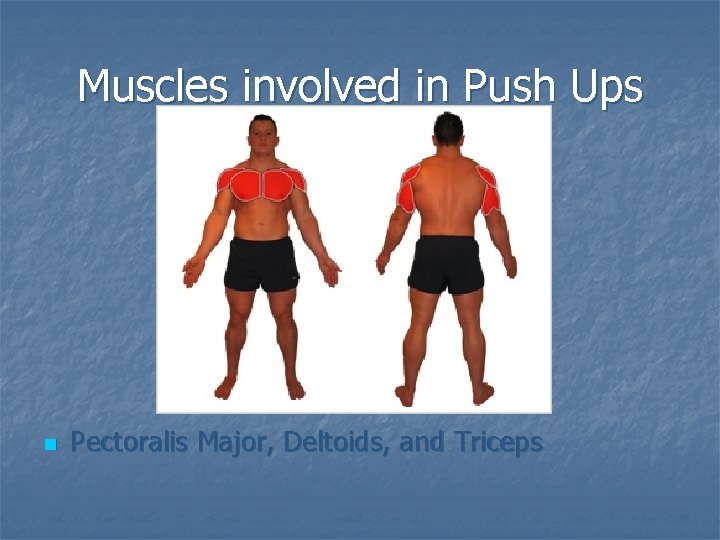 Muscles involved in Push Ups n Pectoralis Major, Deltoids, and Triceps 