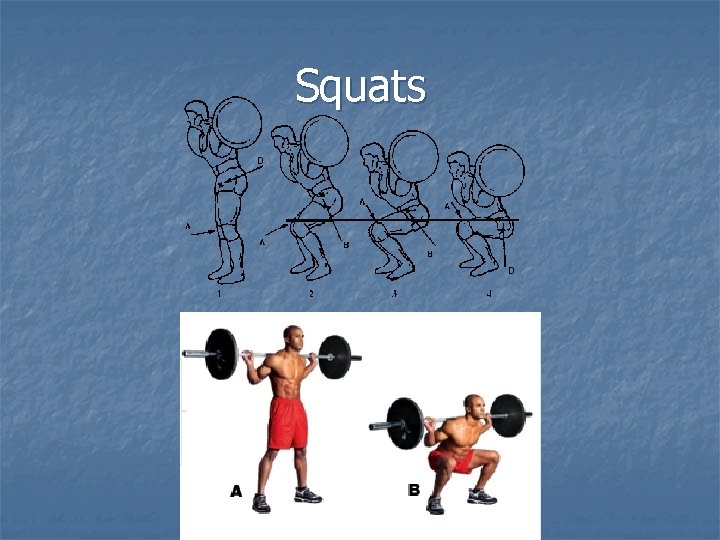 Squats 