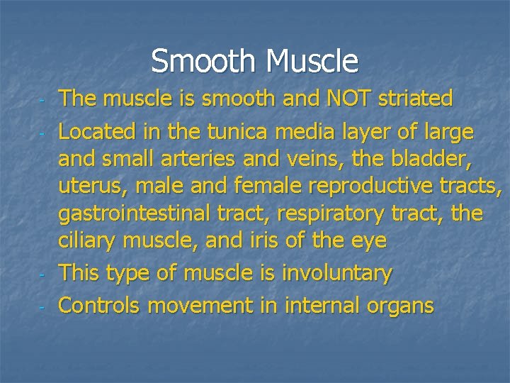 Smooth Muscle - - The muscle is smooth and NOT striated Located in the