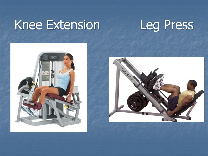 Knee Extension Leg Press 