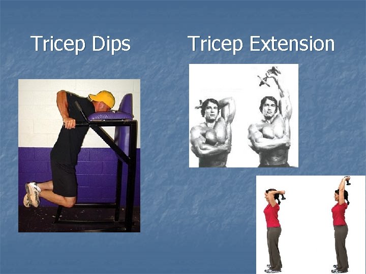 Tricep Dips Tricep Extension 